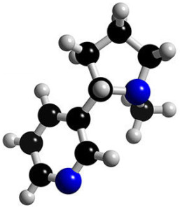 molecolaNicotina
